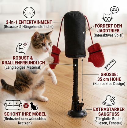 MiauBox - Katzenboxsack
